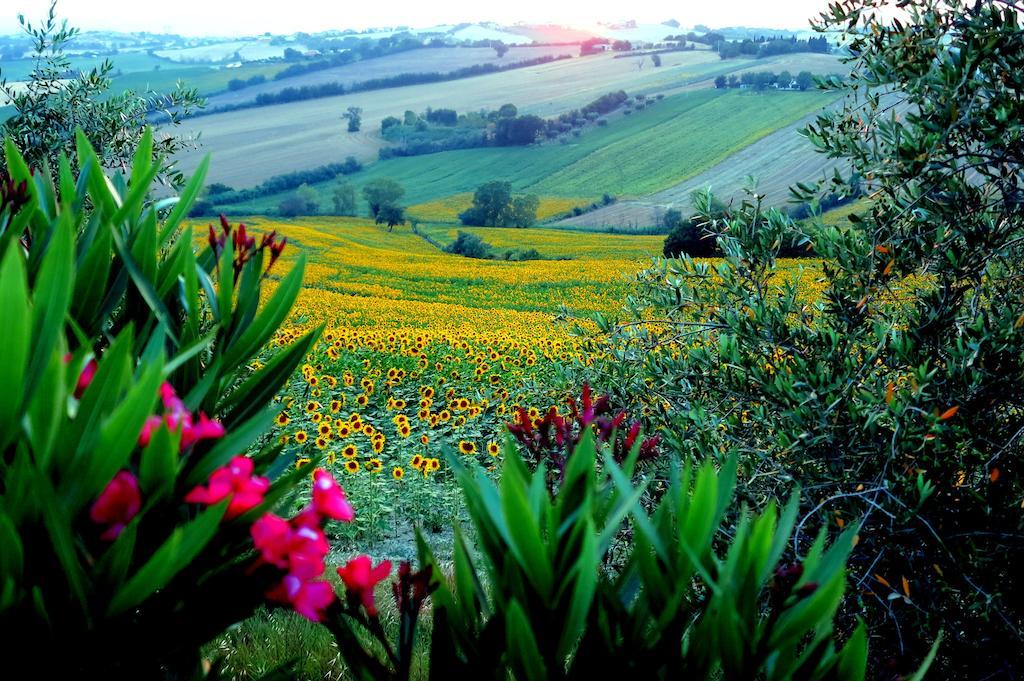 Agriturismo Colomboni San Costanzo Buitenkant foto