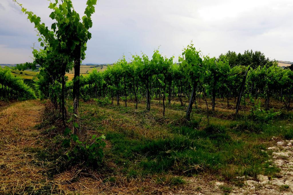 Agriturismo Colomboni San Costanzo Buitenkant foto